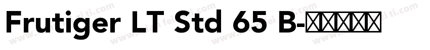 Frutiger LT Std 65 B字体转换